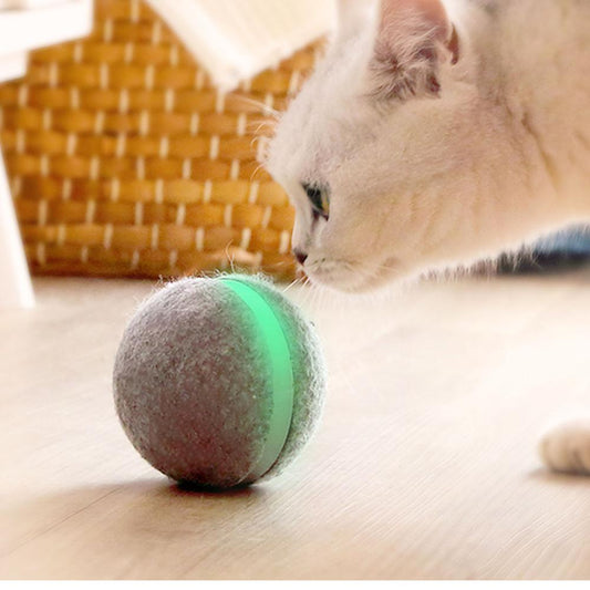 Electronic Bouncing Ball for Cat